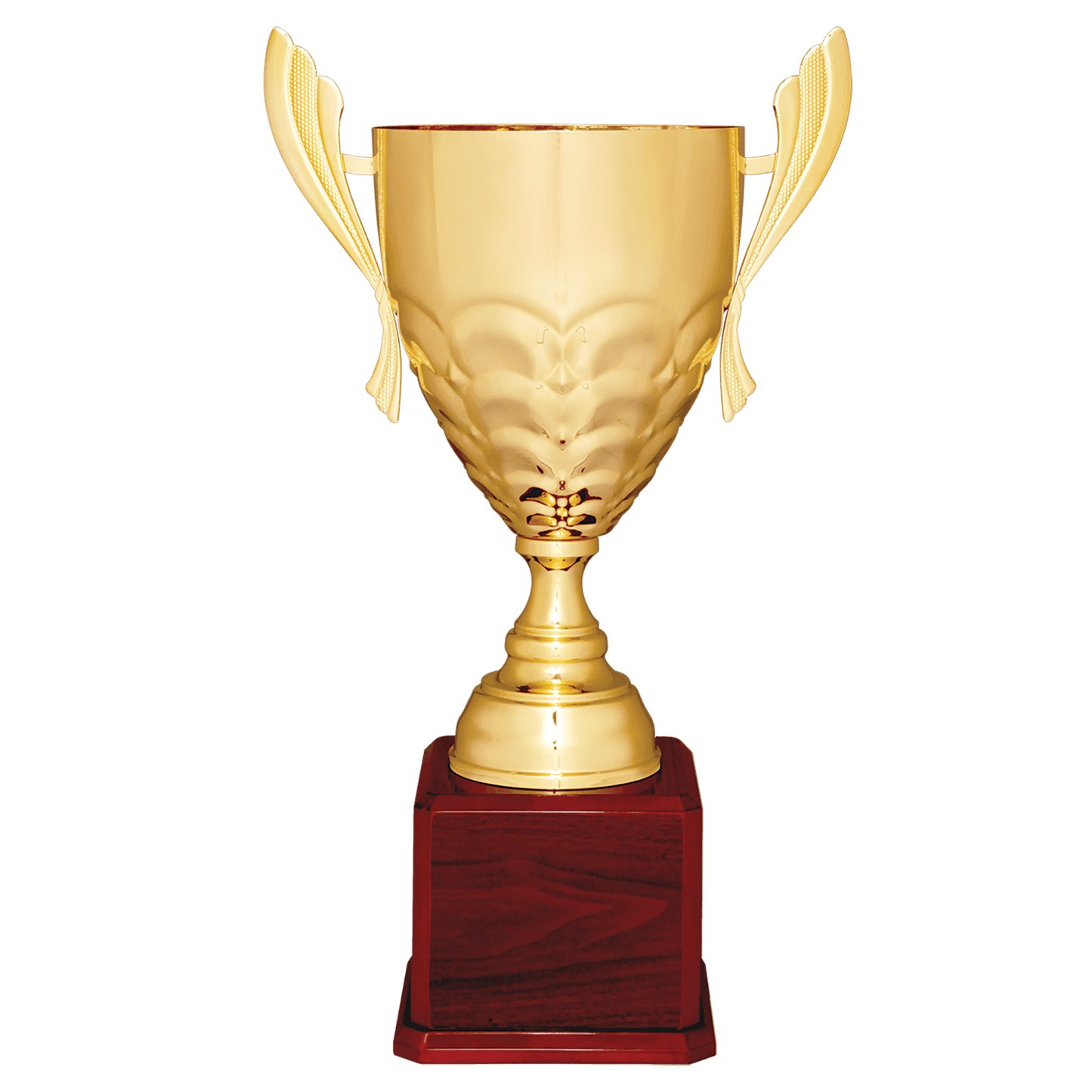 Gold/Silver Metal Cup - Royal Plano Finish Base