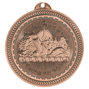 Swimming Medals