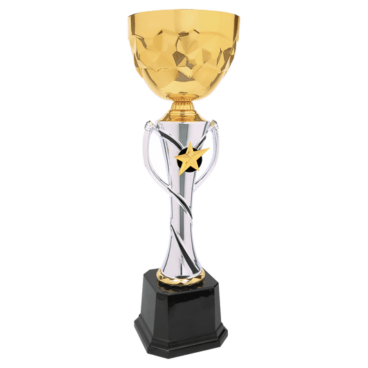 Silver Bottom and Gold Cup