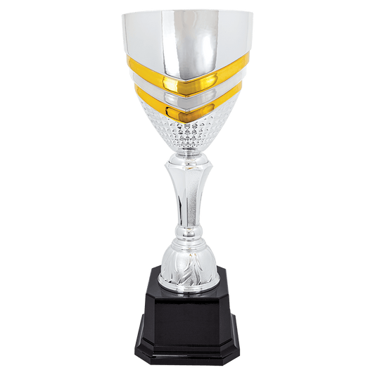 Silver and Gold Metal Cup