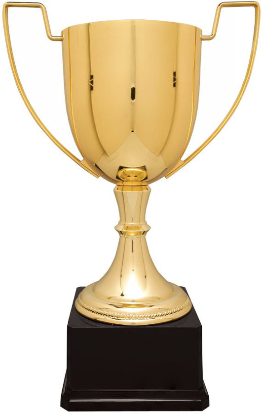 Zinc Cup Trophy